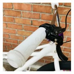 Vélo SE BIKES Monster Quad 29+ Blanc Artic 2022 - Custom Design -France Accessoires Vélo Soldes Boutique custom se bikes monster quad 29 artic white 2022 10