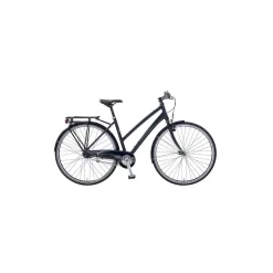 Vélo Urbain Fuji Absolute City 1.7 ST 19" 48 cm - Confort et Performance