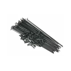 Generique RAYONS DOUBLE BUTTED GÉNÉRIQUE BK - Rayons haute résistance pour BMX