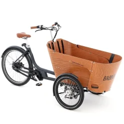 Babboe Carve Mountain - Vélo Cargo Électrique Urbain pour Famille